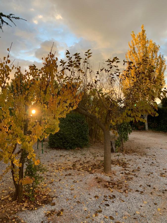 Cabanas Cortijo El Helao Pozo Alcón Dış mekan fotoğraf