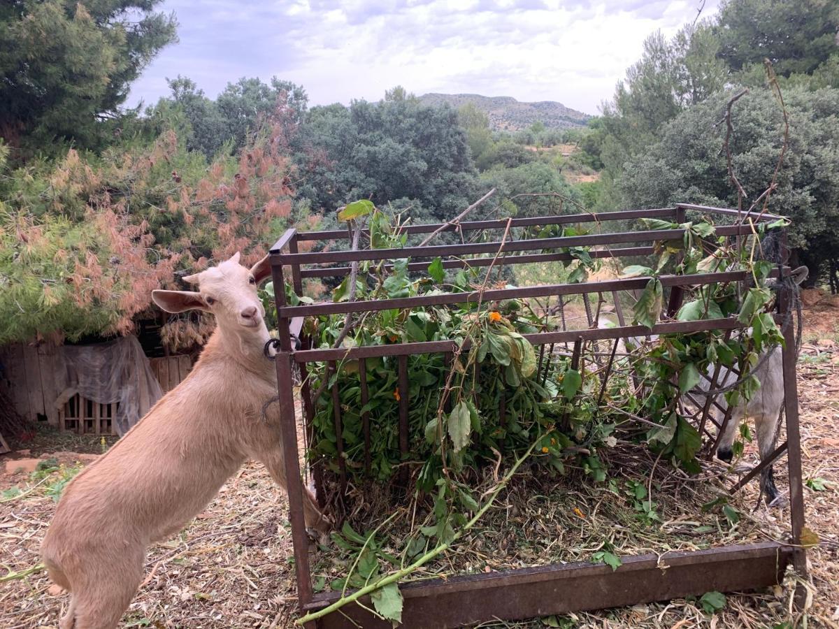 Cabanas Cortijo El Helao Pozo Alcón Dış mekan fotoğraf