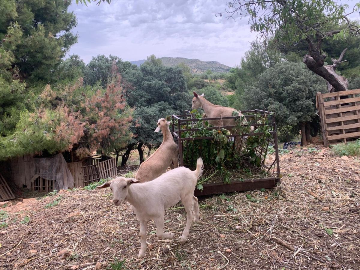 Cabanas Cortijo El Helao Pozo Alcón Dış mekan fotoğraf